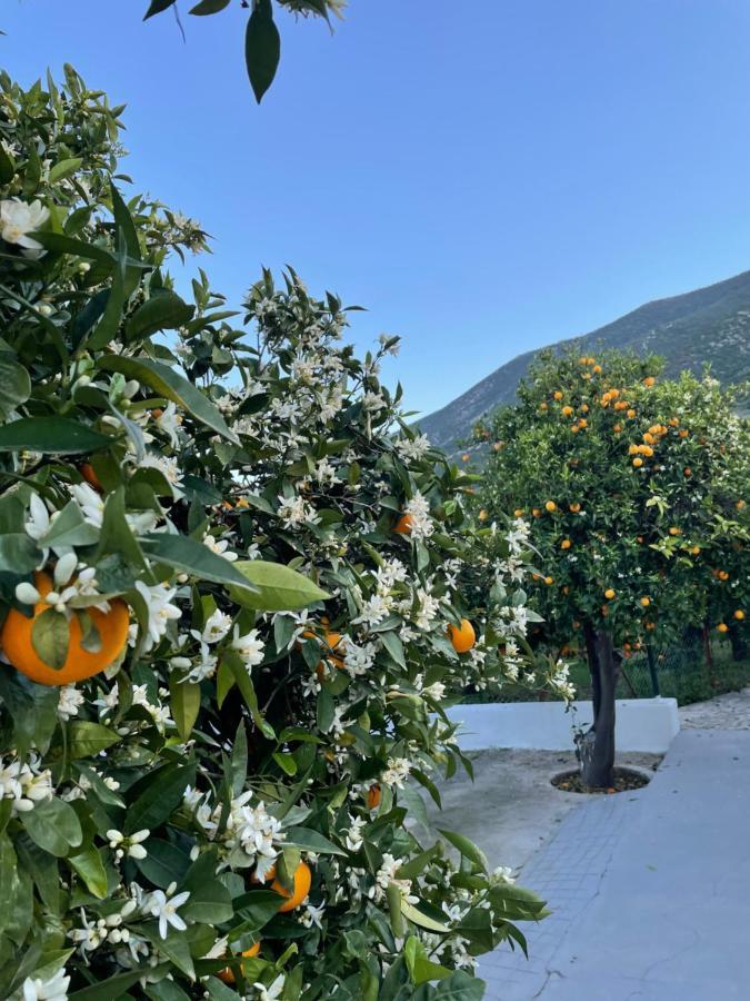 Villa Citrus Garden à Epidaurus Extérieur photo