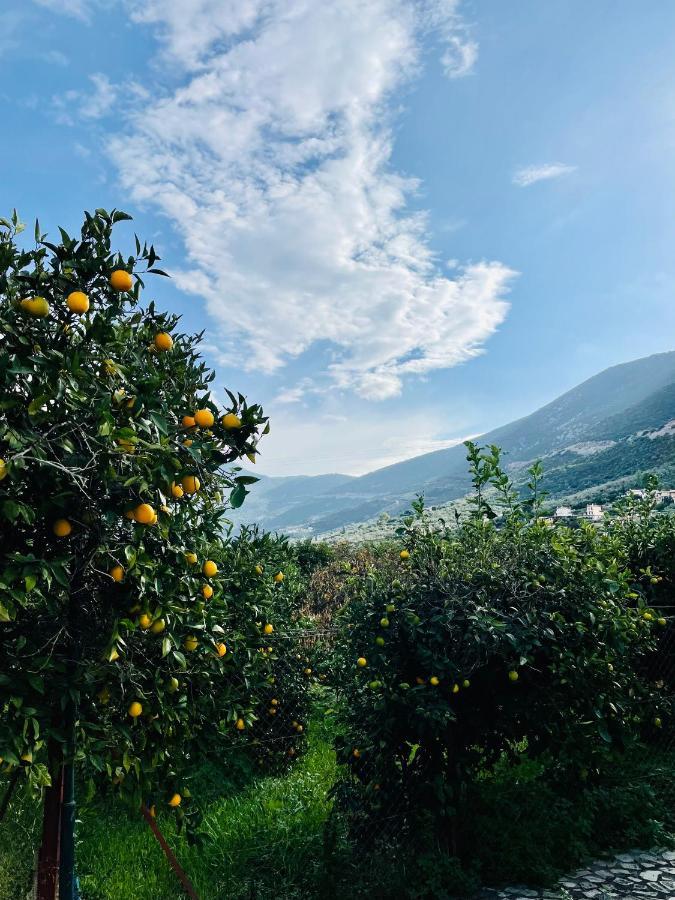 Villa Citrus Garden à Epidaurus Extérieur photo